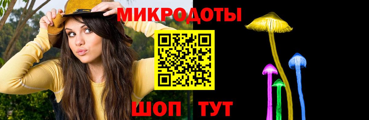 Псилоцибиновые грибы мицелий Мыски